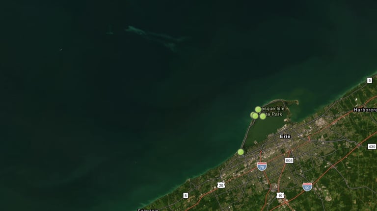 weather buoy monitoring dashboard showing real-time data such as wind speed and direction, waves