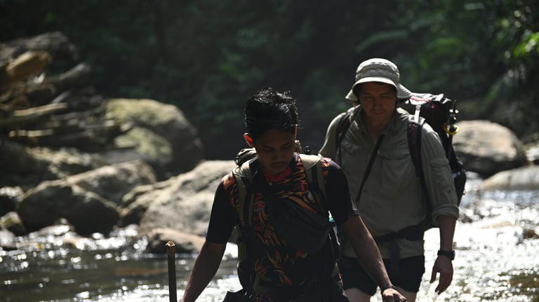 About Us Sumatra Orangutans