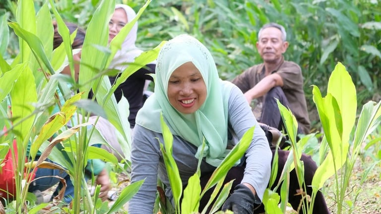 PROJECT WINGS SUMATRA