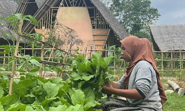 PROJECT WINGS SUMATRA