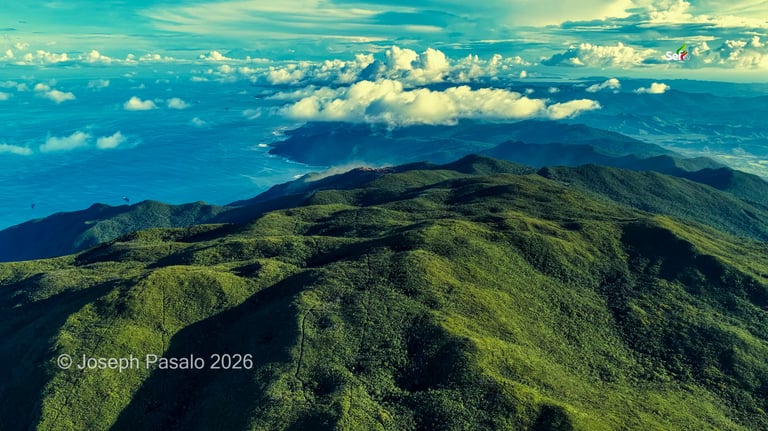 Aerial View of Bonsai Forest in Dinagat Island