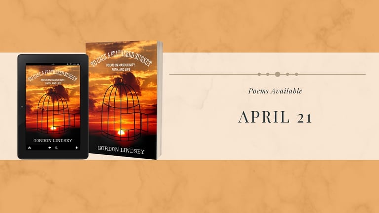 Ebook and Paperback mock up of To Cage a Feather Sunset