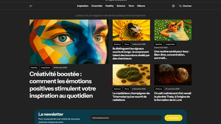 Site internet Le Feed