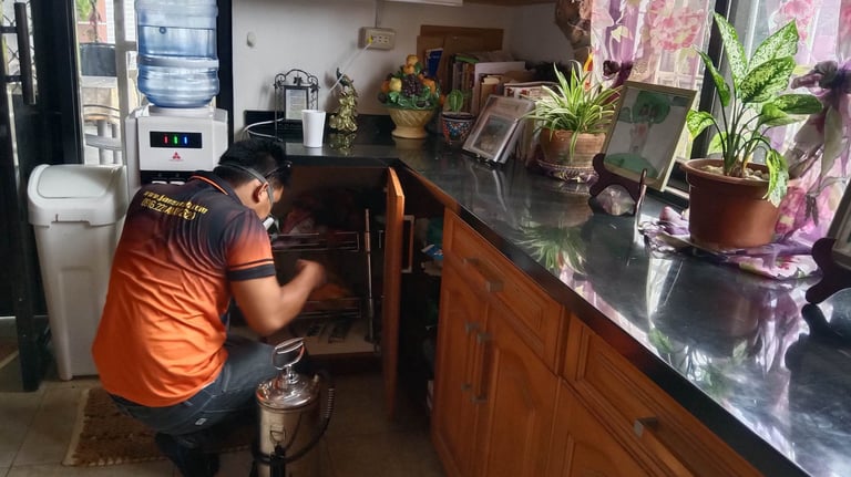 Jansen Pest Control technician performing professional pest control treatment under a kitchen sink i