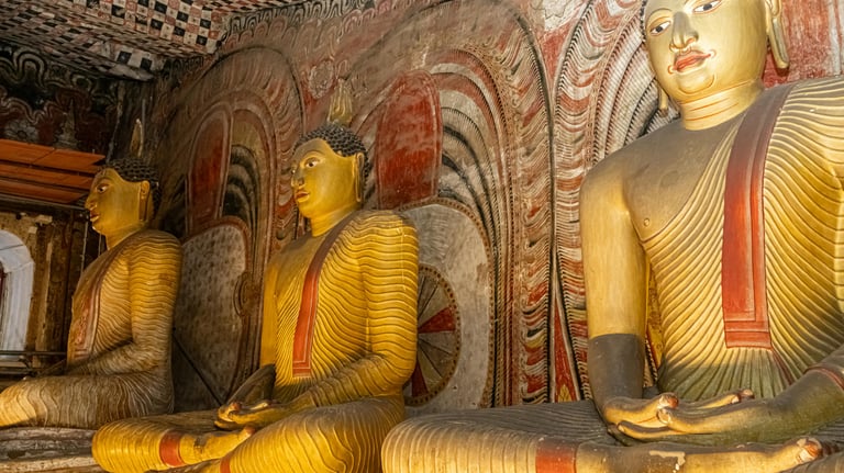 Sri Lanka Holidays by Soma Journeys