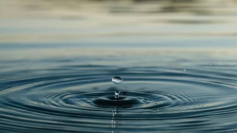 Waterdrop causing waves in the water