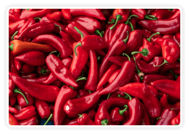 Ingrediant-Andalusian Red Pepper