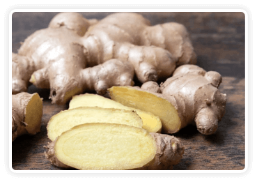 Ingrediant-Himalayan Mountain Ginger