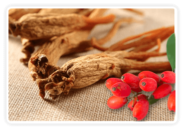 Ingrediant-Korean Red Ginseng