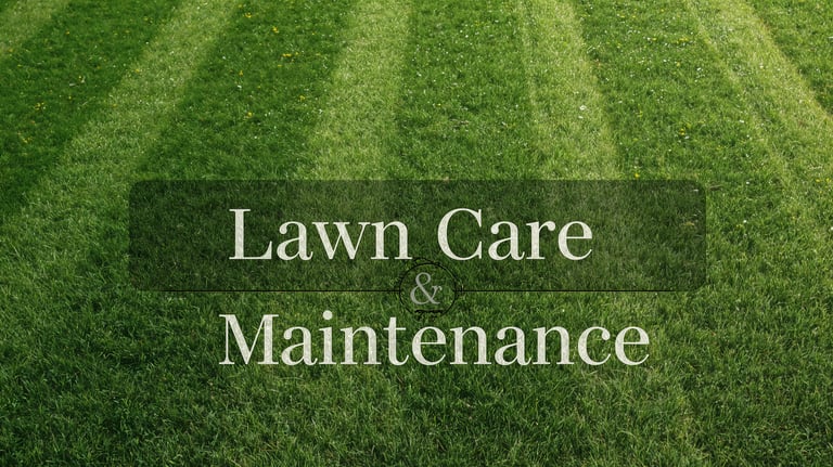 Freshly mowed green grass lawn with professional stripes for lawn care and maintenance services.