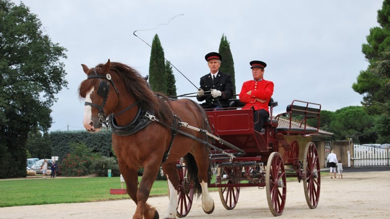 Two drivers in traditional uniforms guide a horse-drawn carriage along a gravel path.