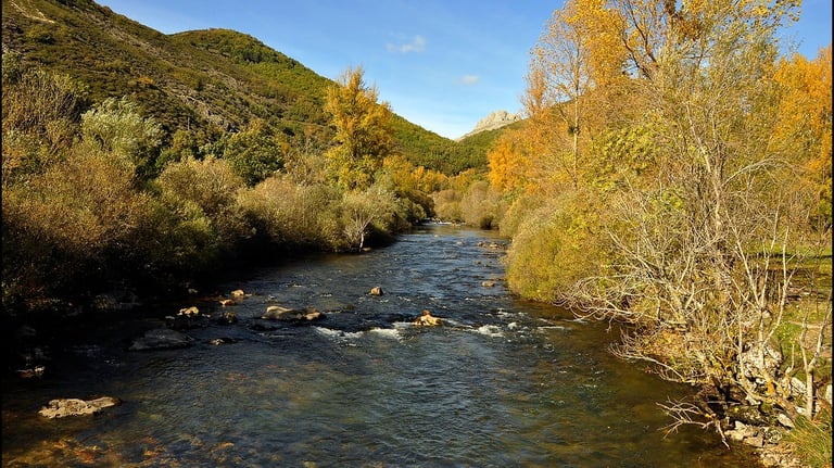 Río Porma en León, zona de pesca en entorno natural