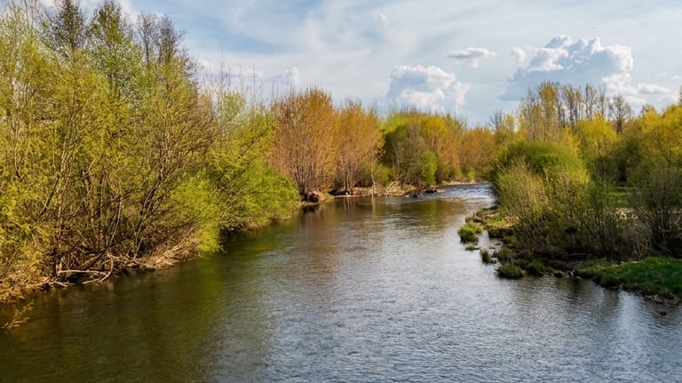 Río Órbigo en León, zona de pesca en entorno natural