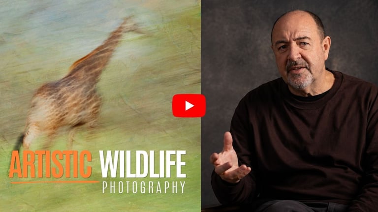 YouTube thumbnail of Martin Osner on the right and a giraffe in motion on the left with text Artistic Wildlife Photography
