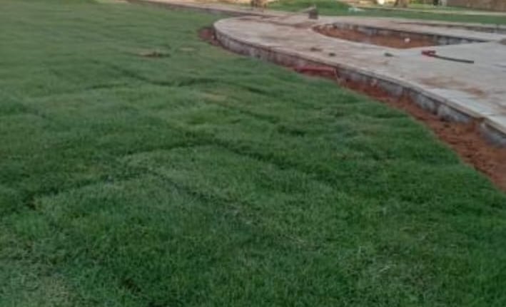 تنسيق حدائق بالخبر مؤسسة فردوس النسيم 