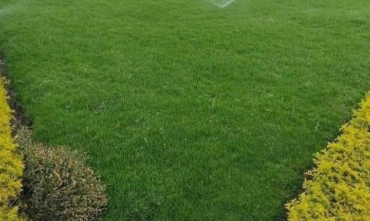 تنسيق حدائق بالقصيم مؤسسة فردوس النسيم 