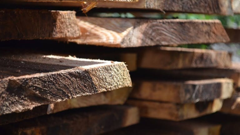 Cryptoméria local pour charpente ossature et menuiserie bois - artisan Charpente Cilaos, La Réunion 974