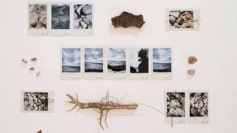 The Australian Journey (Native Grounds) 47, 2025 ©Regina Anzenberger