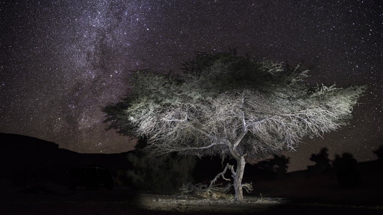 Nightscape, Voie Lactée, Milky Way, Via Lattea, Paysage Etoilé, Starry Landscape, Paesaggio stellato