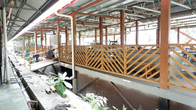 Signal Seafood Steamboat by GlobalKitc at KPD Avenue Kota Kinabalu