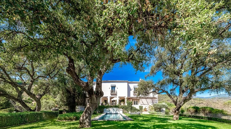 Mature olive trees framing white Andalusian villa
