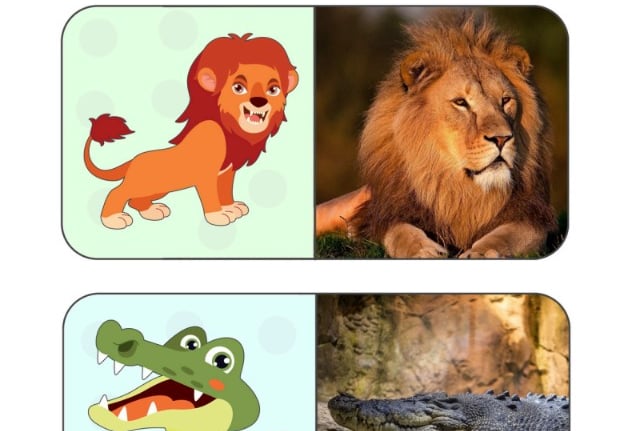 Carte degli Animali – Montessori