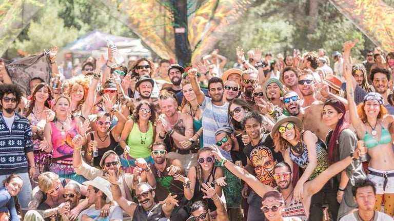 festival and party organization team
