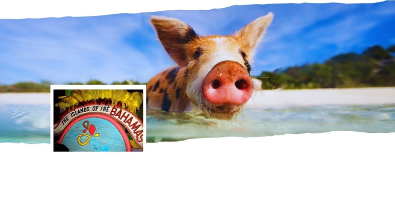 Coroa de boas-vindas no porto de Nassau e vista da famosa Ilha dos Porcos nas Bahamas, com mar azul.