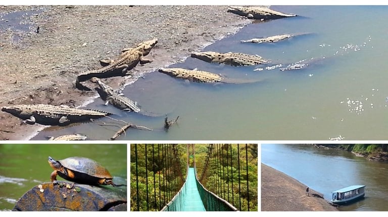 Autora em passeio em Puntarenas, Costa Rica, cercada por vida selvagem, floresta e natureza