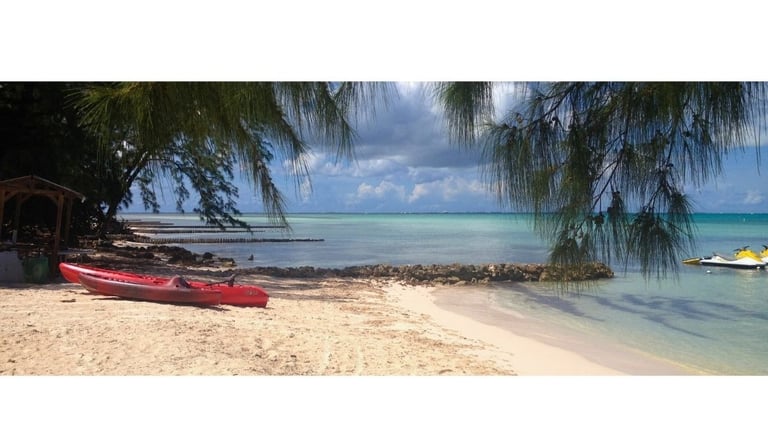 Barcos de passeio ancorados à beira-mar em Grand Cayman, com palmeiras e o litoral ao fundo.