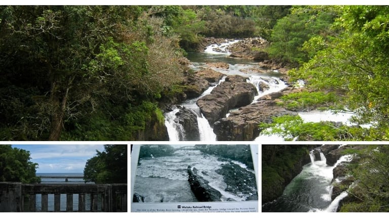 Rio Wailuku atravessando a cidade de Hilo, com vegetação e construções ao redor