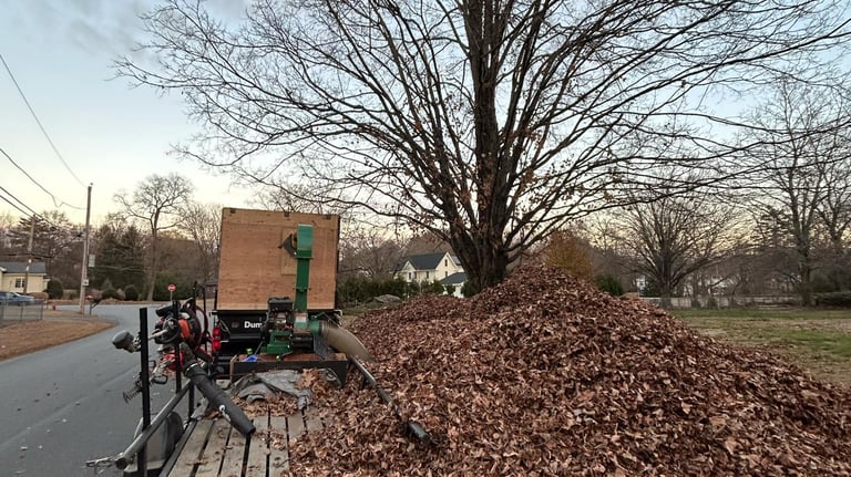 Spring + Fall Cleanups