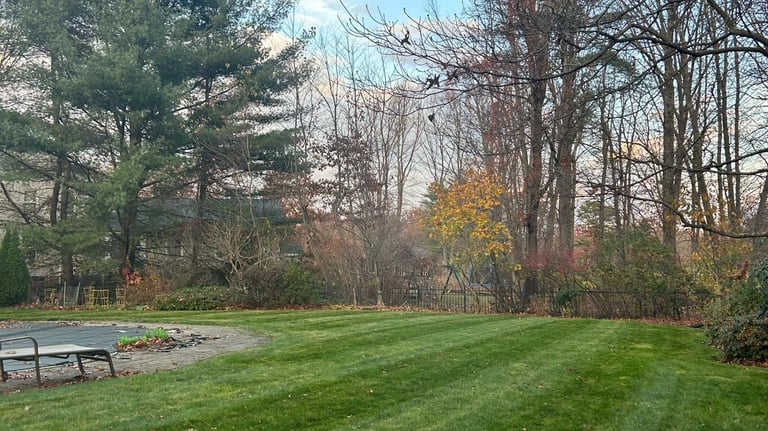 Lawn Mowing + Edging Service