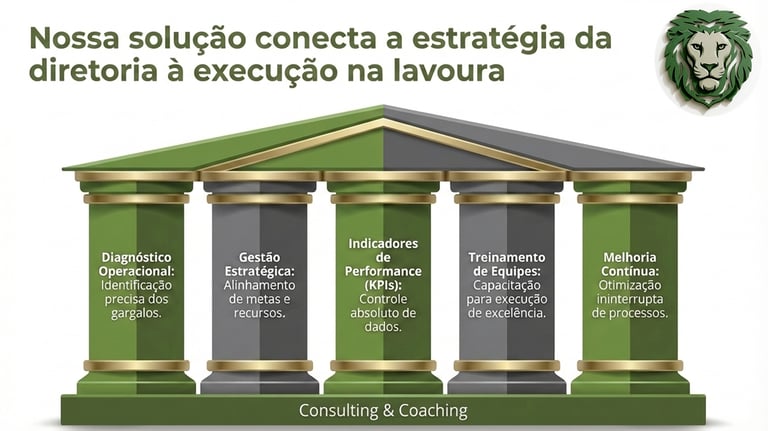 Infográfico de gestão agrícola com cinco pilares para estratégia de diretoria e execução na lavoura.