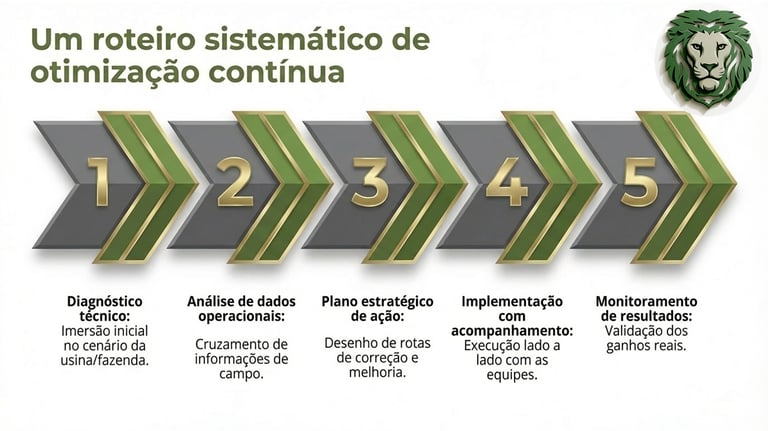 Infográfico de 5 etapas para roteiro sistemático de otimização contínua em agronegócio e usinas.