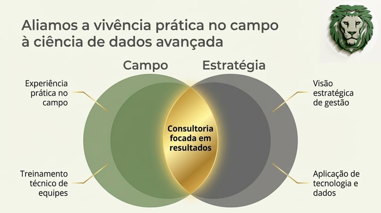 Infográfico de consultoria em agronegócio unindo experiência de campo e ciência de dados estratégica.