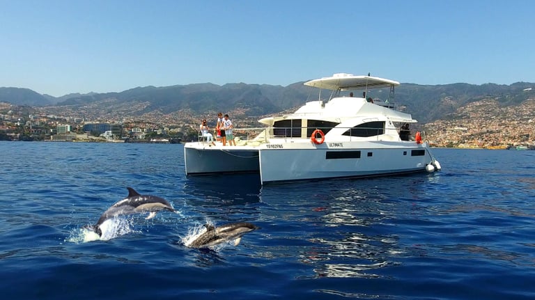 Two dolphins leaping in front of the VIP Dolphins "Ultimate" catamaran with the Madeira coastline in the background.