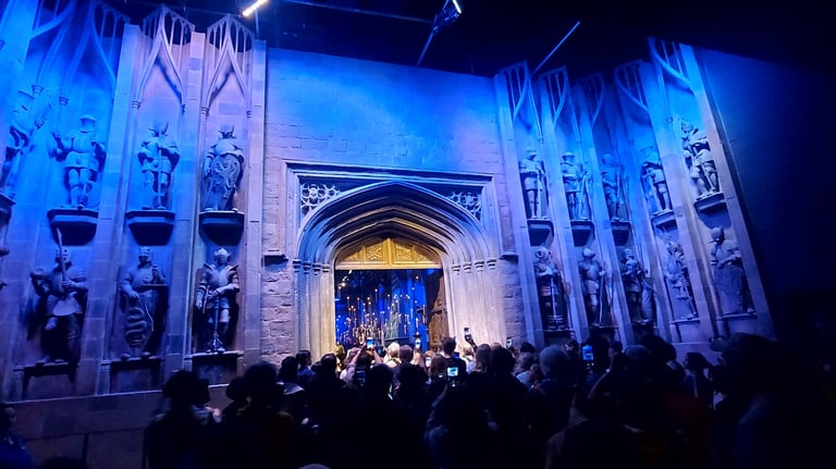 harry potter turu