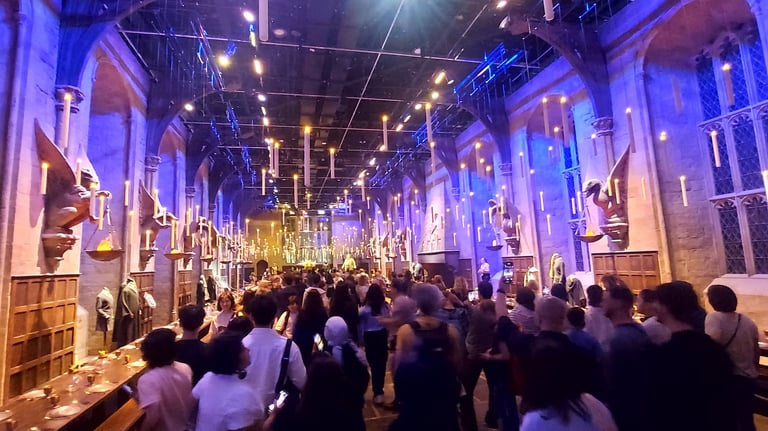 harry potter biletleri