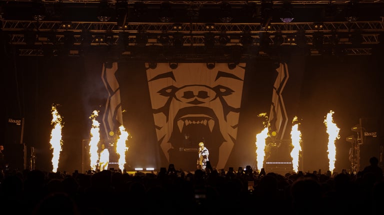 L'artiste PLK au festival insolent 2023