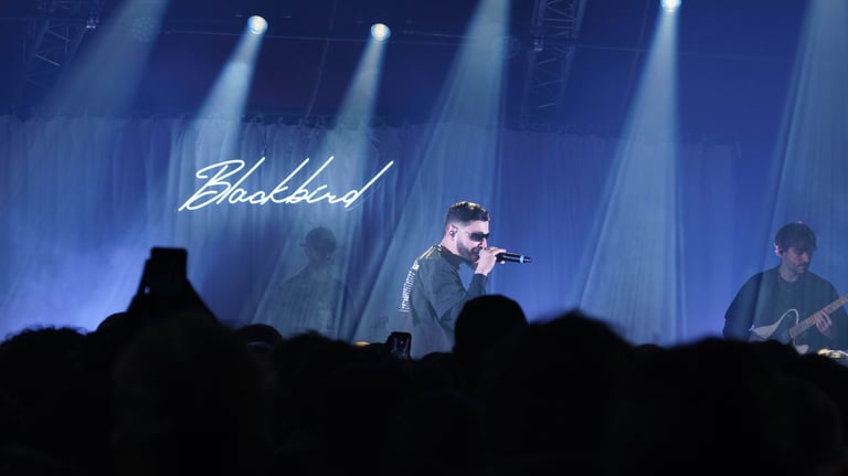 Concert de BB Jacques au MeM à Rennes