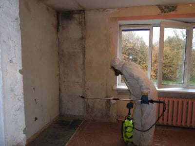 Pelėsio ir medžio grybo "Trobagrybio" naikinimo paslauos su patirtimi 25metų.