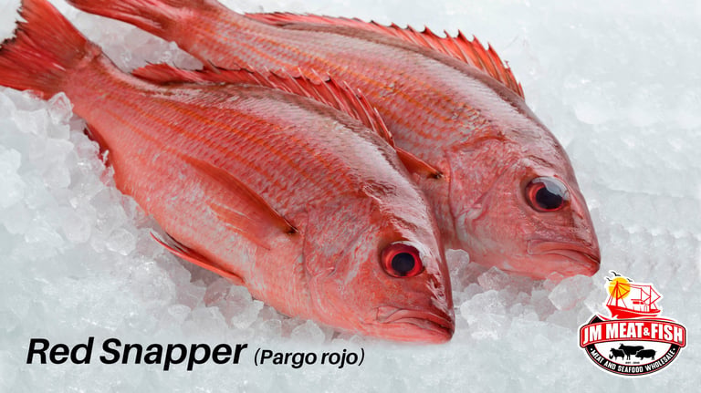 Red Snapper