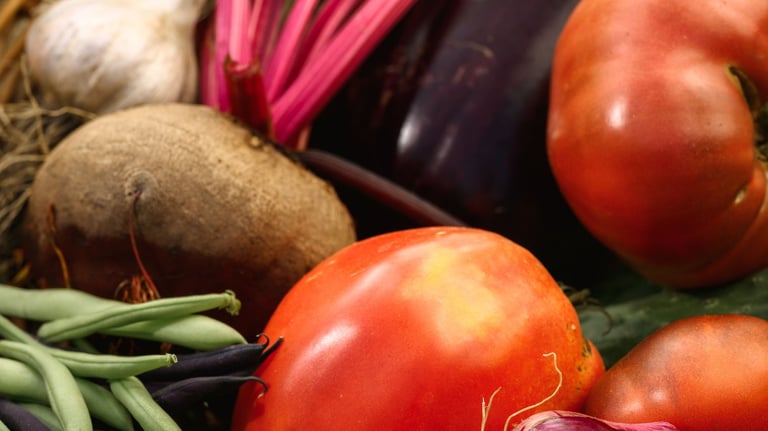A Basket Full of Freshly Harvested Vegetables