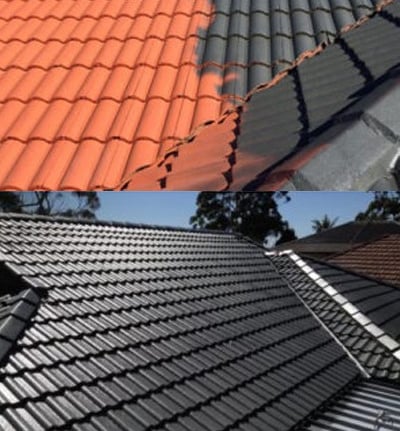roof painting services