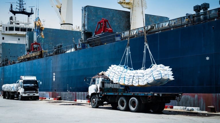 Break Bulk and Project Cargo Handling