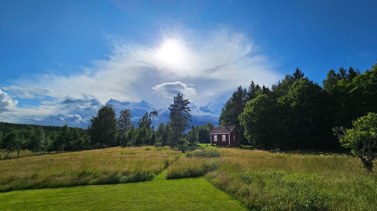 a house with a large field and a house in the background