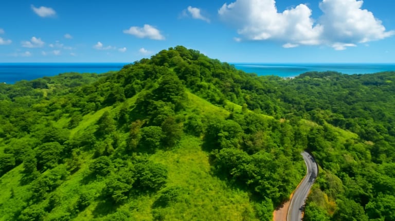Land for sale Miches