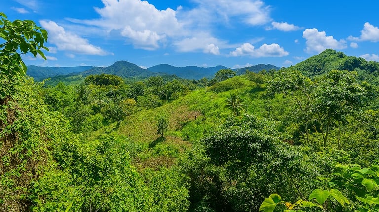 Land for sale Miches