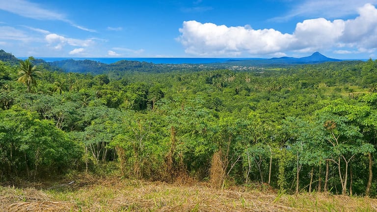Land for sale Miches
